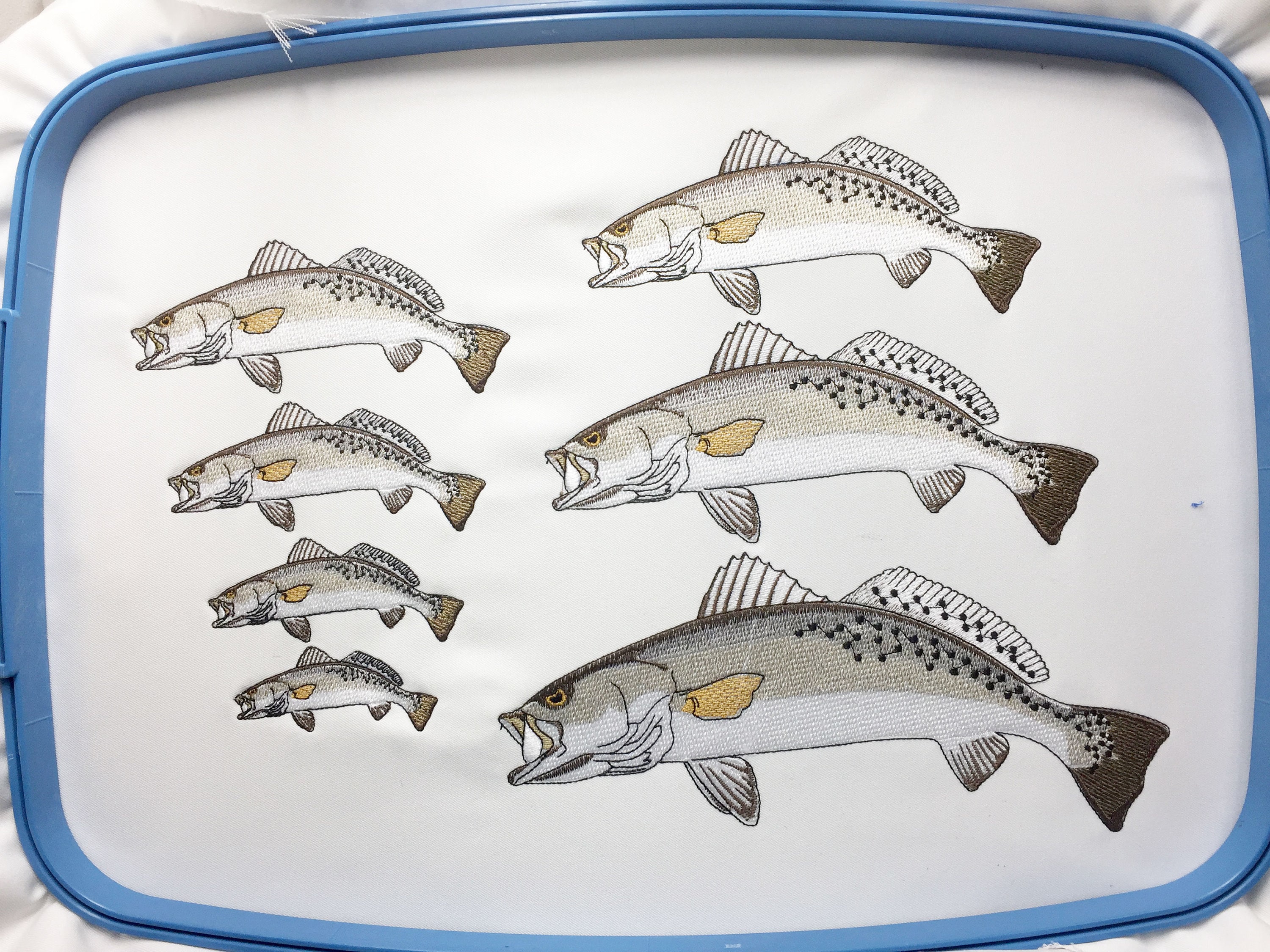 Speckled Trout Embroidery Design Etsy