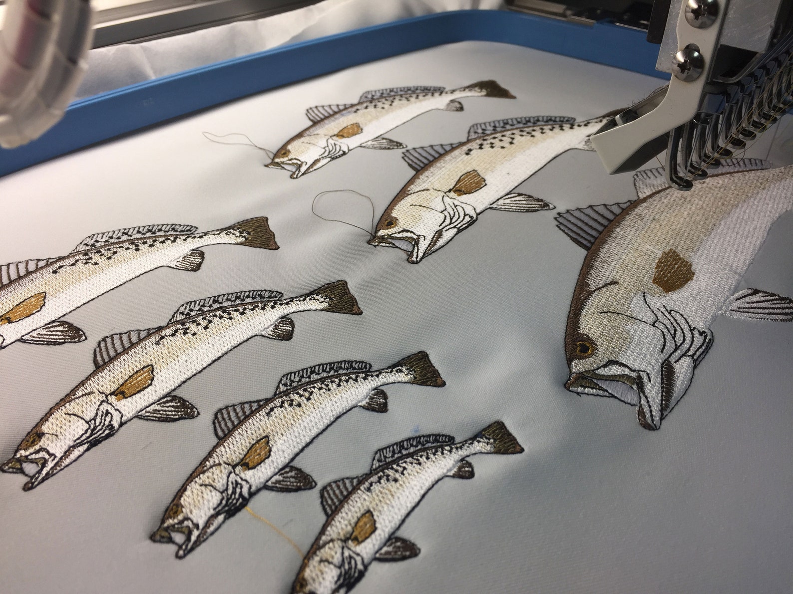 Speckled Trout Embroidery Design Etsy