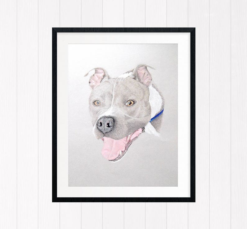 Op de afbeelding: Een ingelijst portret van een hond, met een close-up van zijn hoofd en schouders. De hond heeft een grijze en witte vacht, met een roze tong. Hij draagt een blauwe halsband. Het kunstwerk zit in een zwarte lijst.