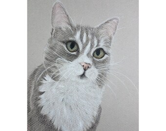 Cat Portrait, Cat Drawing, Custom Cat Portrait, Pet Drawing, Cat Loss Gift, Cat Art Original, Custom Cat Drawing, Pet Portrait, Cat Artwork