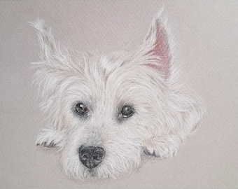 Retrato de mascota personalizado, dibujo de perro personalizado, retrato de mascota personalizado, retrato de perro, dibujo de mascota, arte de mascotas, regalo para papá perro, regalo para amantes de las mascotas, regalo conmemorativo para mascotas