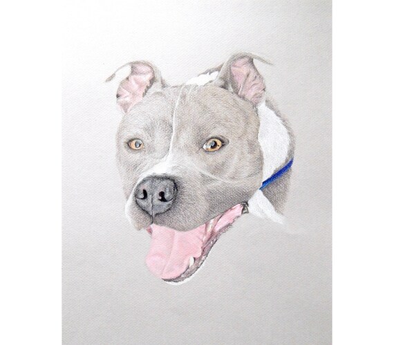 Custom Dog Art, Dog Drawing, Dog Portrait Custom, Custom Pet Drawing, Dog Art Custom, Custom Pet Art, Custom Dog Drawing, Pet Memorial Art