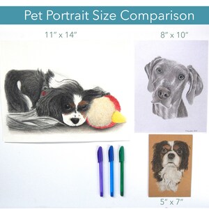 Puede incluir: Comparaci&oacute;n de tama&ntilde;os de retratos de mascotas. Incluye un dibujo de perro de 28 x 36 cm con un juguete, un retrato de perro de 20 x 25 cm y un retrato de perro de 13 x 18 cm. El texto superior dice "Comparaci&oacute;n de tama&ntilde;os de retratos de mascotas".