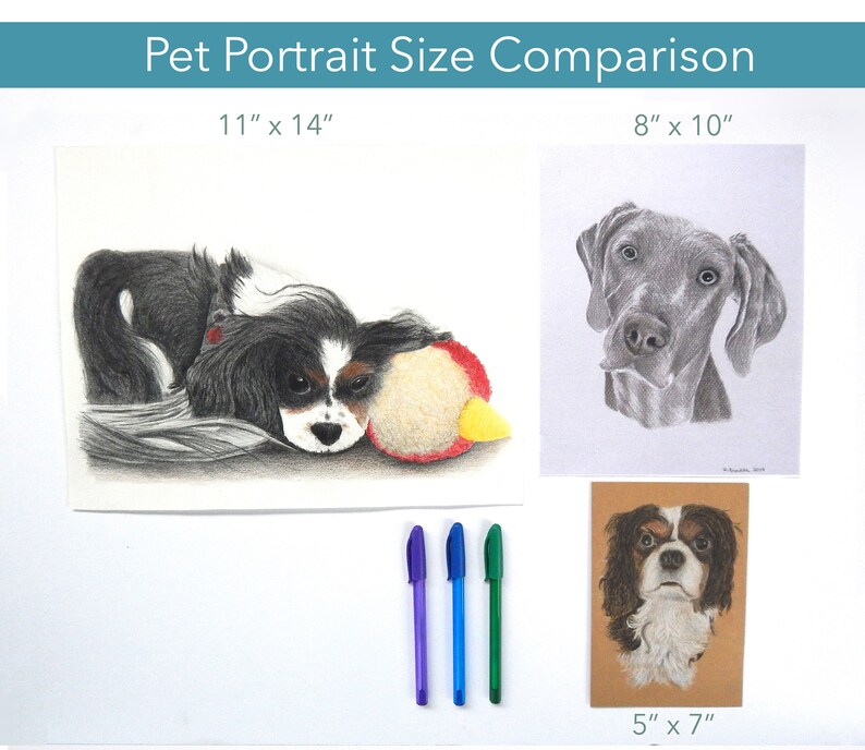 Puede incluir: Comparaci&oacute;n de tama&ntilde;os de retratos de mascotas. Incluye un dibujo de perro de 28 x 36 cm con un juguete, un retrato de perro de 20 x 25 cm y un retrato de perro de 13 x 18 cm. El texto superior dice "Comparaci&oacute;n de tama&ntilde;os de retratos de mascotas".