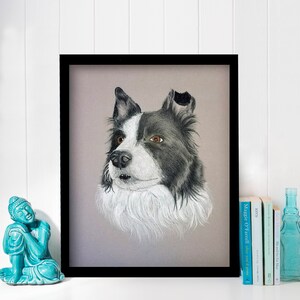 Puede incluir: Dibujo a l&aacute;piz enmarcado de un perro Border Collie. El perro est&aacute; representado en tonos negros, blancos y grises, con ojos marrones y un pecho blanco y esponjoso. La obra de arte est&aacute; enmarcada en negro sobre un fondo neutro.