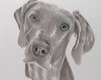 Custom Pet Portrait, Hand Drawn From Your Photo, Gift For Pet Lover or as a Pet Memorial