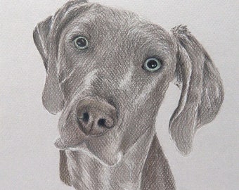 Retrato de mascota personalizado, dibujado a mano a partir de su foto, regalo para amantes de las mascotas o como recuerdo de su mascota.