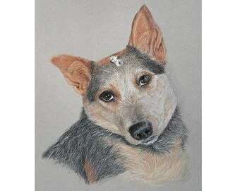 Custom Dog Drawing from Your Photos, Hand Drawn Colored Pencil Pet Portrait, Multiple Sizes Available
