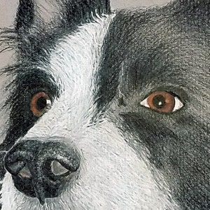 Puede incluir: Dibujo a l&aacute;piz detallado de la cara de un perro, centr&aacute;ndose en los ojos y la nariz. El perro tiene ojos marrones, una nariz negra y pelaje blanco y negro. La obra de arte est&aacute; realizada en un estilo realista.