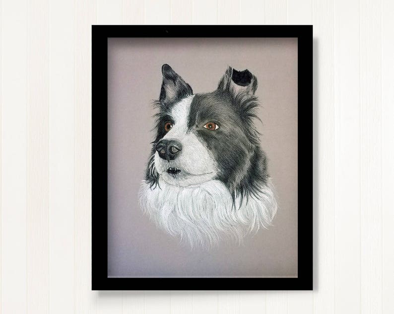 Puede incluir: Dibujo a l&aacute;piz enmarcado de un perro Border Collie. La cabeza del perro se representa en detalle, con pelaje blanco y negro, ojos marrones y un pecho blanco y esponjoso. La obra de arte est&aacute; enmarcada en un marco negro.
