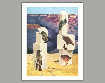 Ornithology - Surreal Collage Art Print, retro, 8x10 print, 11x14 print, 12x16 print, birds, grand canyon, vintage art, art print