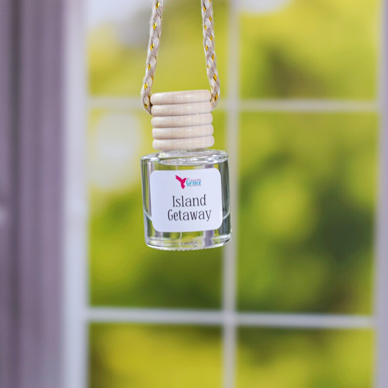 Car Diffuser Hanging Car Diffuser Car Fresheners Wood Reed - Etsy