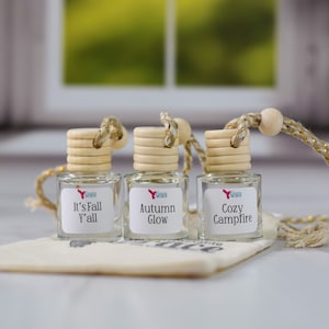 Fall Car Diffuser Bundle (Set of 3), Hanging Car Diffuser, Fall Car Air Freshener, Car Accessories, Non-Toxic Car Freshener, Car Freshie