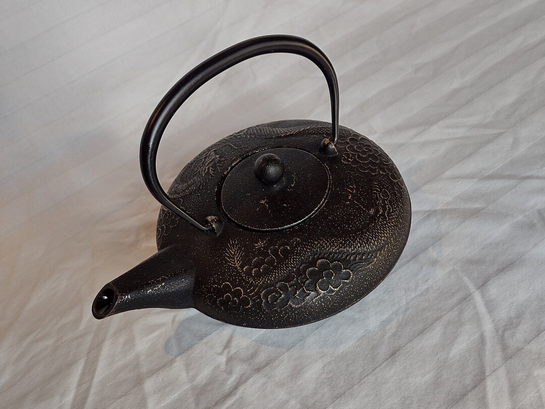 Teavana Cast Iron Teapot Made in Japan abundance Etsy