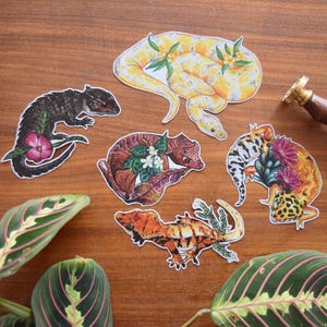 Op de afbeelding: Vijf geïllustreerde stickers met verschillende reptielen, waaronder een gekko, een slang en een hagedis. De stickers bevinden zich op een houten oppervlak met groene planten.