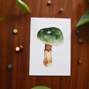 Grüner Hautkopfpilz // A6 Aquarell Natur illustrierter Druck