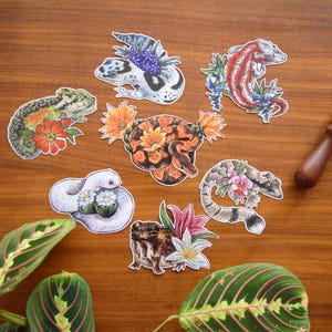 Op de afbeelding: Set van 8 kleurrijke stickers met verschillende reptielen en amfibieën met bloemmotieven. De stickers tonen een gekko, een slang, een kikker, een hagedis en een schildpad.
