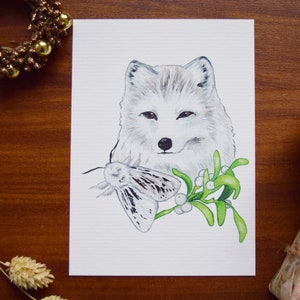 Renard polaire // Imprimé animal renard polaire de Noël A6