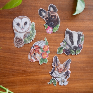 Night Critters Illustration // illustrated animal sticker set