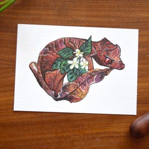 Op de afbeelding: Een handgetekend illustraties van een opgerold, bruin en rood wezen met witte bloemen en groene bladeren. Het wezen is getekend in een realistische stijl met ingewikkelde details.