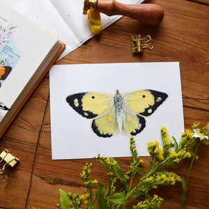 May include: A watercolor painting of a yellow butterfly with black markings on a white background. The butterfly is surrounded by a sprig of yellow flowers.
