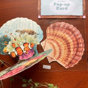 Coral Reef // watercolour shell underwater pop-up card