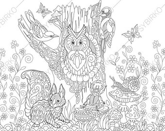 Forest Animals Owl Squirrel Beetle Snail Jay Bird Woodpecker Coloring Pages Book For Kids And Adults Instant Print