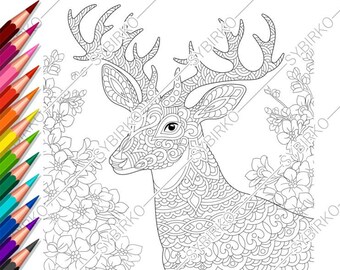 Coloring Pages For Adults Pdf Coloring By Coloringpageexpress - roblox coloring pages personalized digital pdf not instant etsy