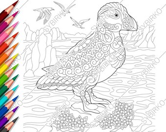 Puffin Coloring Page Etsy