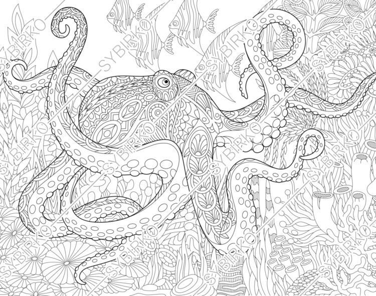 Download Coloring pages for adults. Sea Octopus. Adult coloring pages. | Etsy