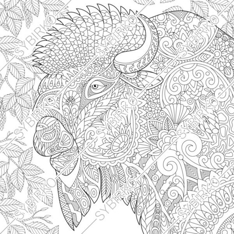 Download Coloring pages for adults. Bison Buffalo Bull. Adult ...