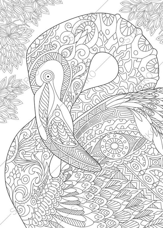 107+ Bird Coloring Book Pages Picture HD