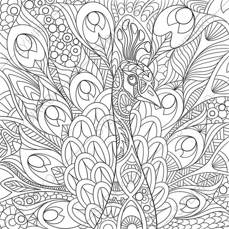 Download Coloring Pages for adults. Peacock. Colouring page. Adult | Etsy