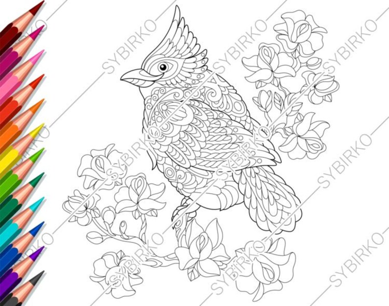 Coloring pages for adults. Red Cardinal Bird. Adult coloring | Etsy
