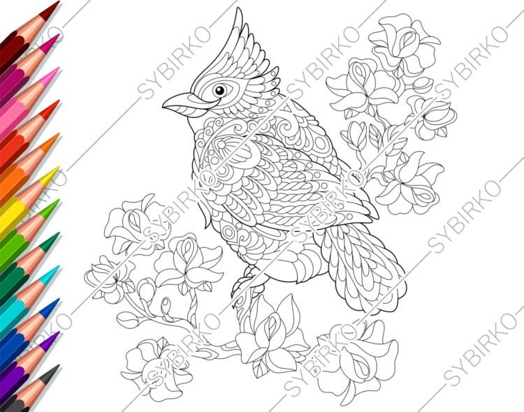 Download Coloring Pages For Adults Red Cardinal Bird Adult Coloring Etsy