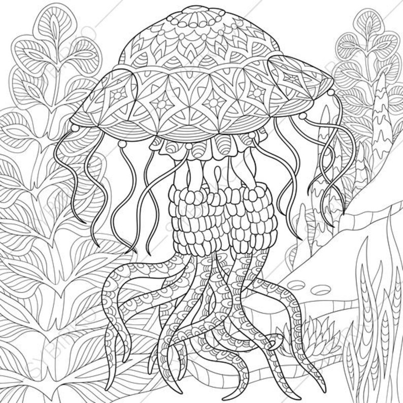 84 Coloring Pages Jellyfish Pictures