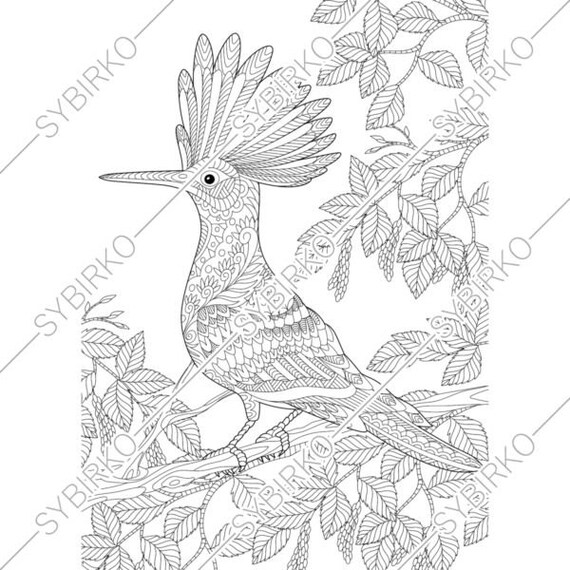 Download Coloring Pages For Adults Hoopoe Bird Adult Coloring Pages Etsy