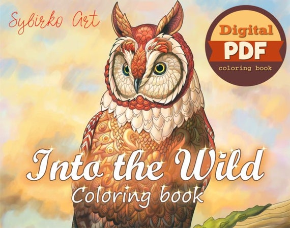 Download Coloring Book For Adults 30 Coloring Pages Digital Pdf Etsy
