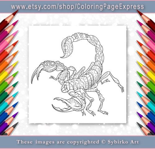 Coloring Page For Adults Digital Coloring Page Scorpion Etsy