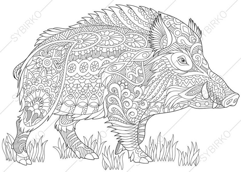 Download Wild Boar. 2 Coloring Pages. Animal coloring book pages for | Etsy
