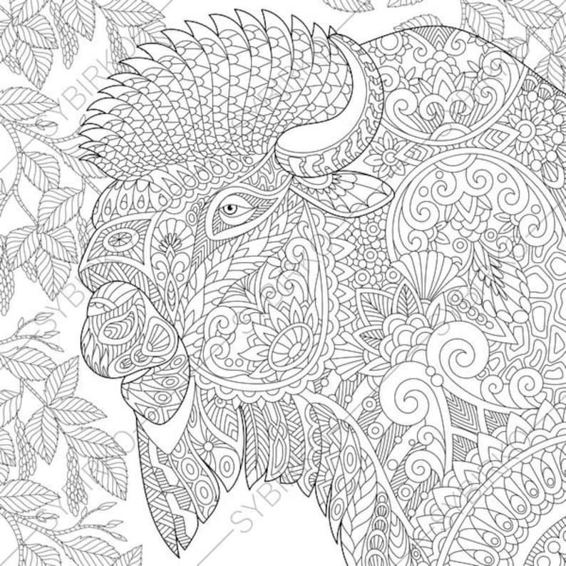 Download American Bison. Buffalo. Coloring Pages. Animal coloring book | Etsy
