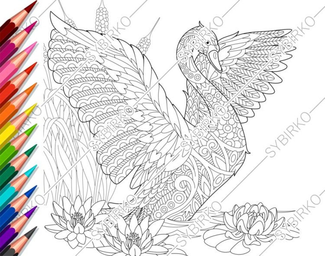 Coloring pages for adults. Swan. Bird. Adult coloring pages. | Etsy