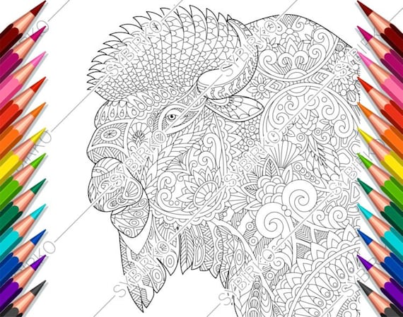 Coloring Pages For Adults Bison Buffalo Bull Adult Coloring Etsy