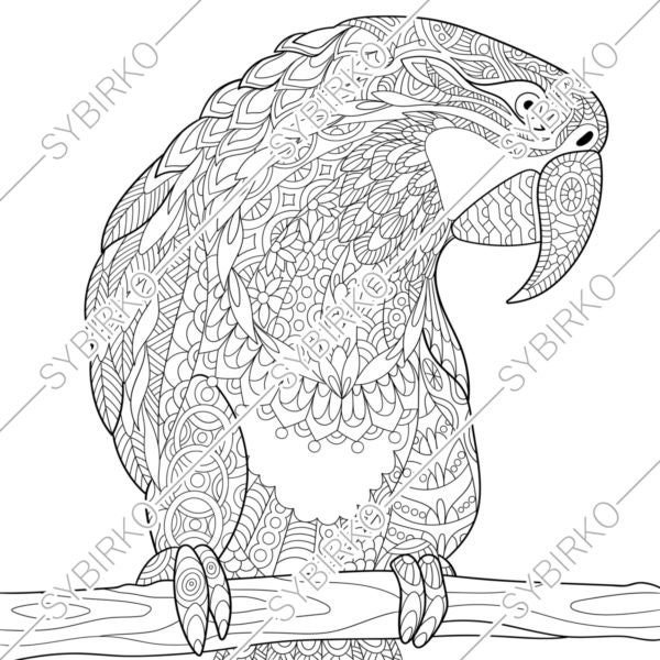 Coloring pages for adults. Macaw Parrot. Adult coloring pages. | Etsy