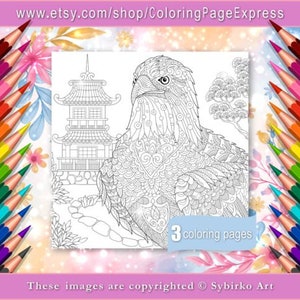 Coloring Pages For Adults Digital Coloring Page Eagle Hawk Etsy