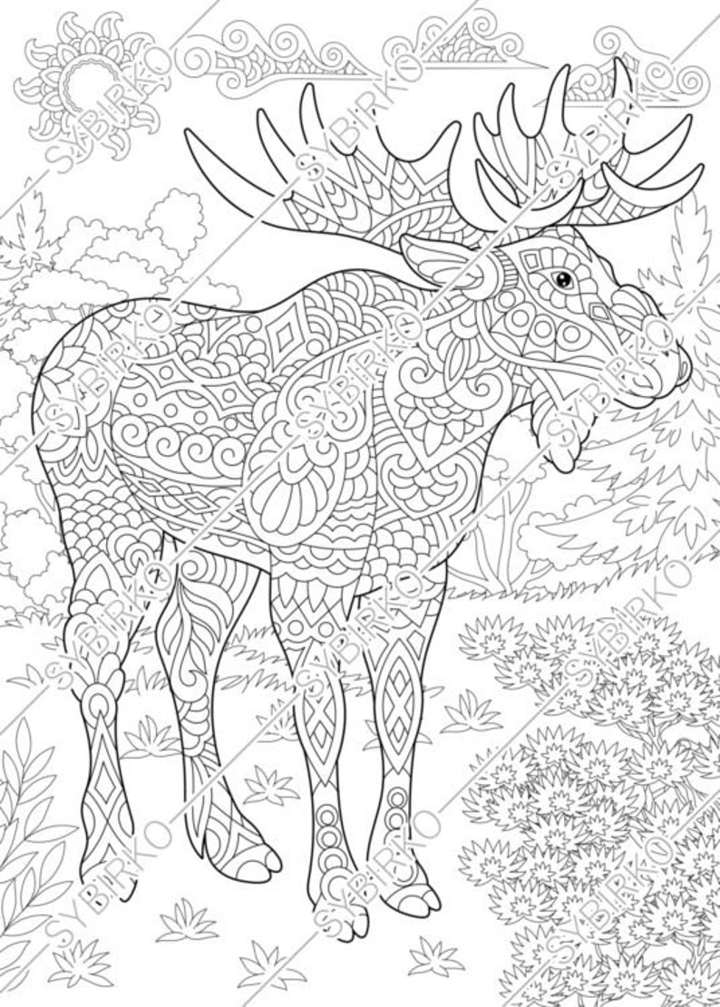 Download Coloring pages. Moose. Deer in Forest. Animal coloring book | Etsy