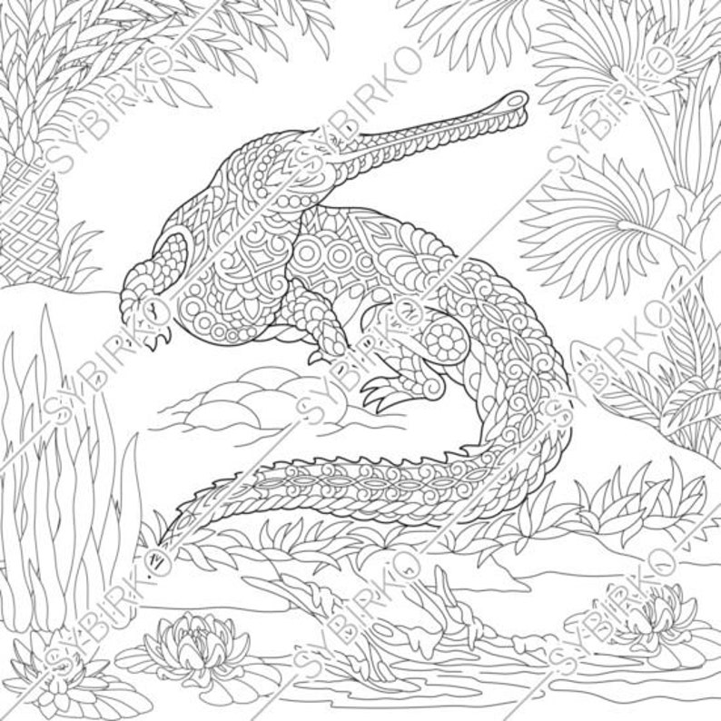 Download Coloring Pages For Adults Crocodile Alligator Adult Etsy