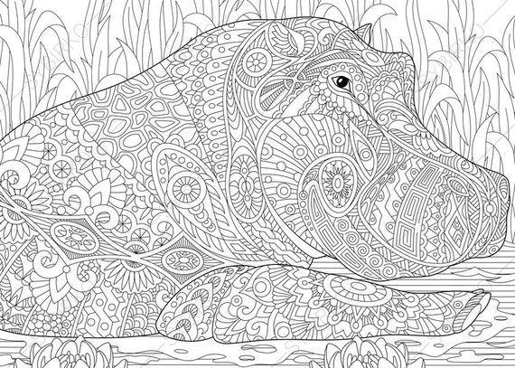 Hippo. Hippopotamus. 2 Coloring Pages. Animal coloring book | Etsy