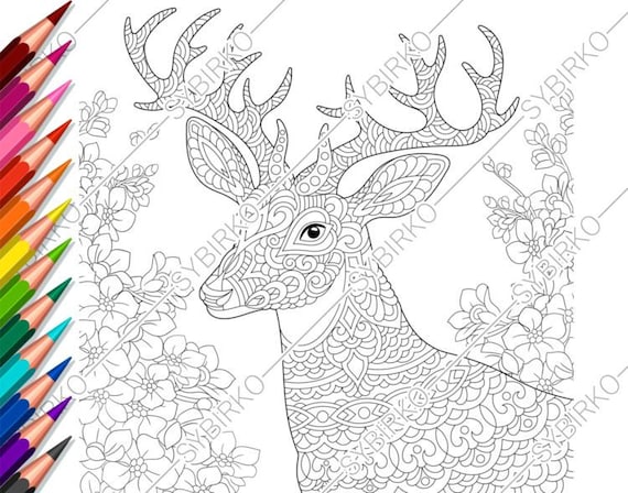 Coloring pages for adults. Deer. Flowers. Adult coloring