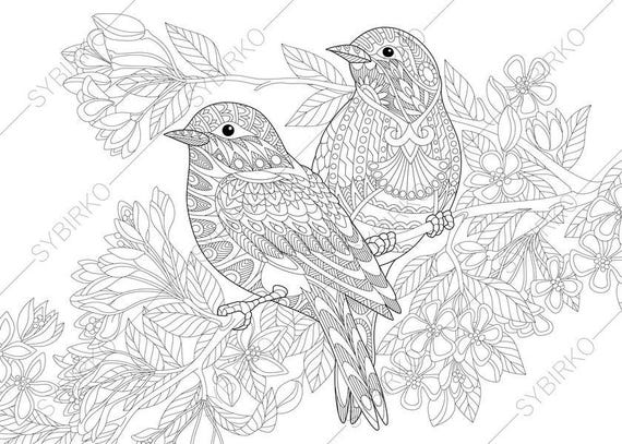 9900 Coloring Pages Adults Birds Images 9900 Coloring Pages Adults Birds Images